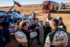 RDT-stage-3-team